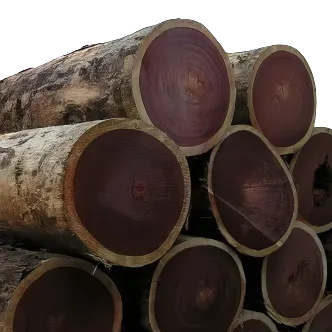 Palo de Rosa (Brasil)