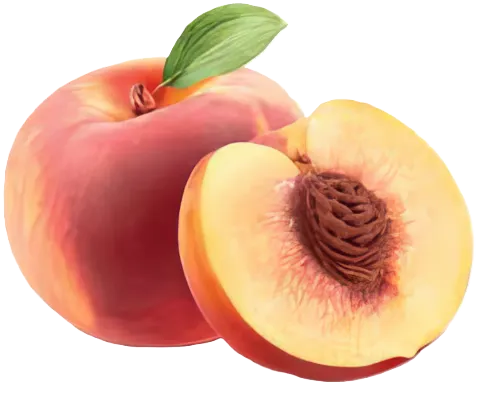 Durazno (melocotón)