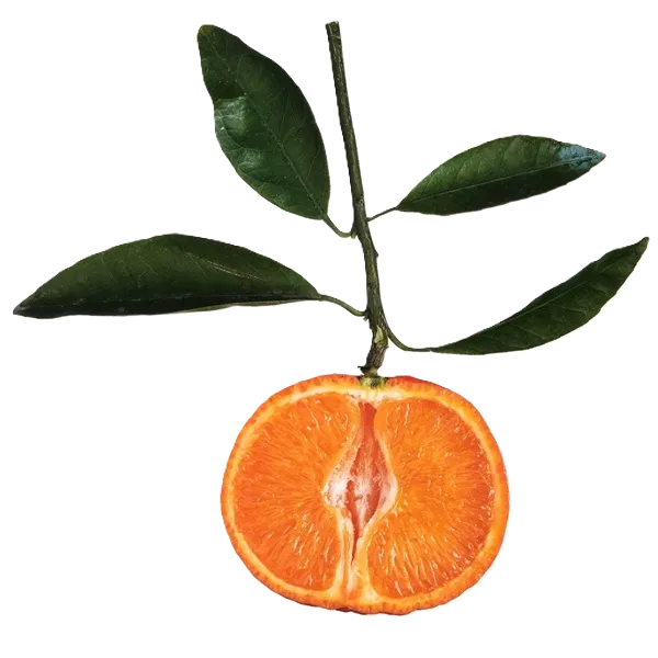 Mandarina Siciliana