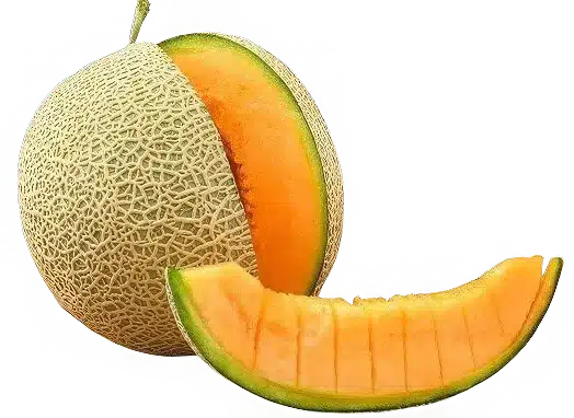 Melón