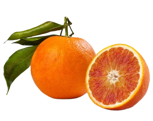 Naranja Sanguina