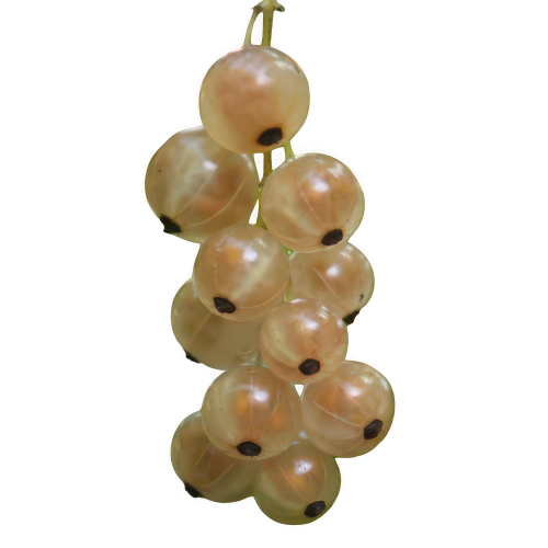 Grosella Blanca