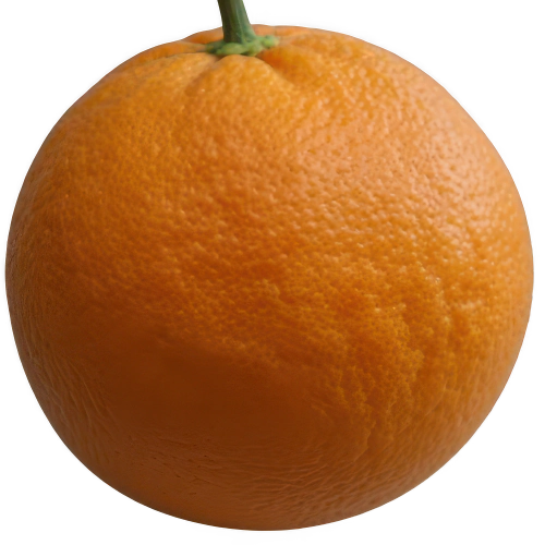 Naranja Amarga