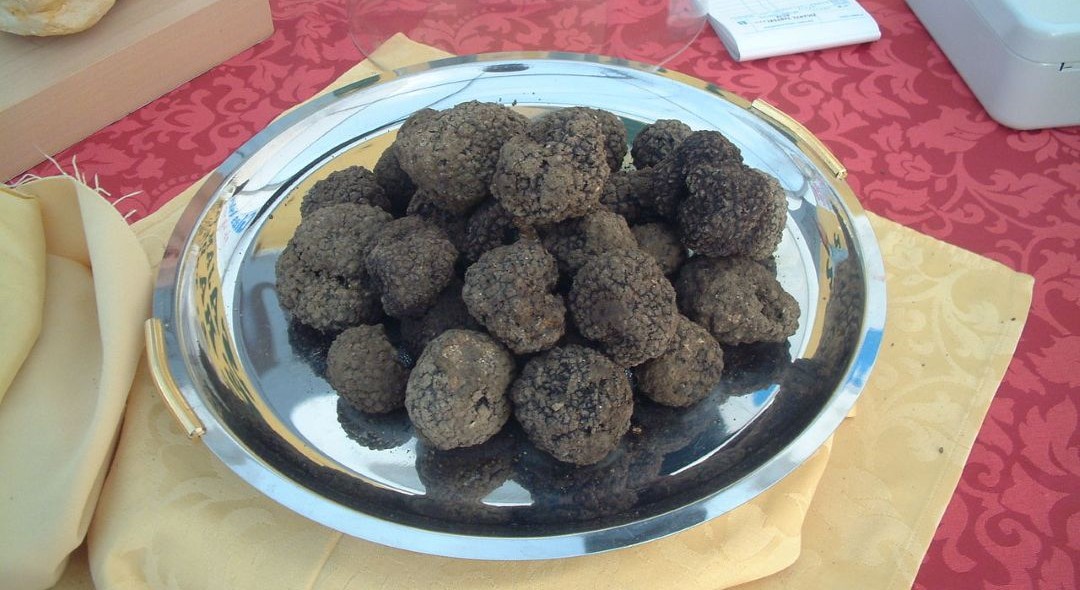 Trufas