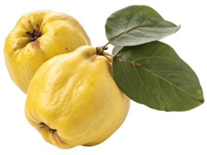 Membrillo